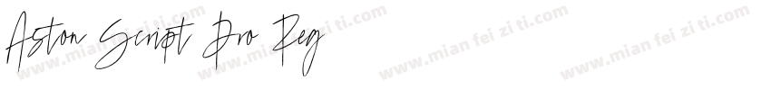 Aston Script Pro Reg字体转换